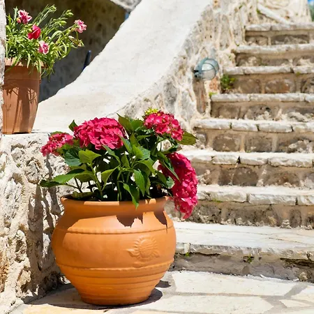 アパート Gkountis Deluxe King 2 Lefkáda